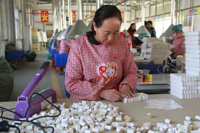 仲景艾草產(chǎn)業(yè) 從文化瑰寶到世界名片